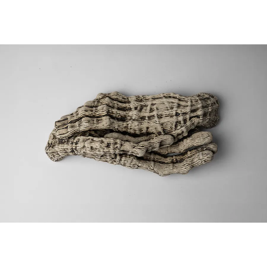 Image of Calm 2 by Liudmyla Davydenko, size: 34х16х11, made of oil/canvas, Sculpture medium, from Lviv, part of the Holova/Head series, priced at €700 Photo 1 of 4.